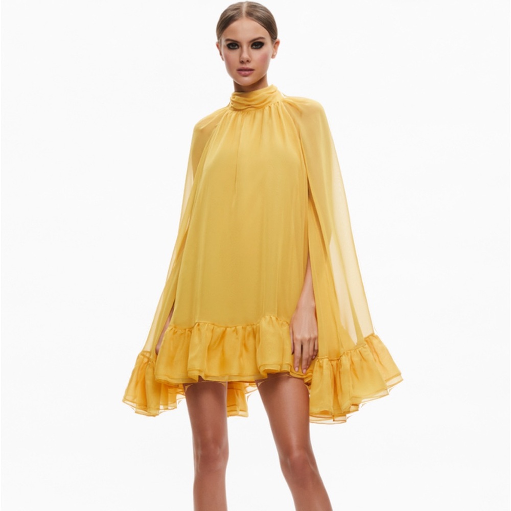 Erna Mock Neck Cape Sleeve Mini Dress